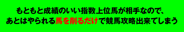 もともと成績のいい指数上位馬が相手なので、あとはやられる馬を削るだけで競馬攻略出来てしまう。